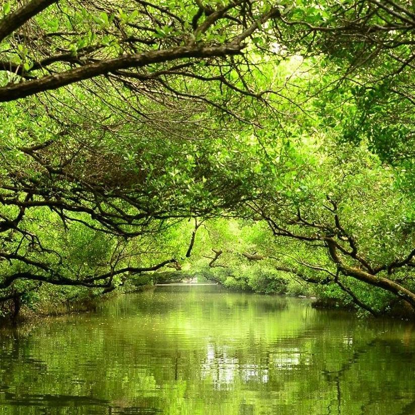 生活‧簡居‧生活