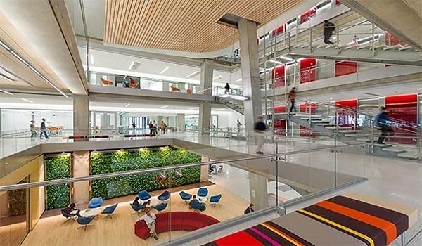 Purva Northern Lights