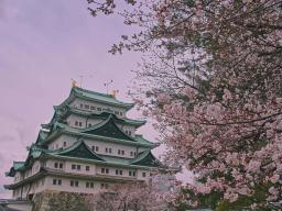 日本自助 | 從東京到名古屋，日本獨旅很簡單!
