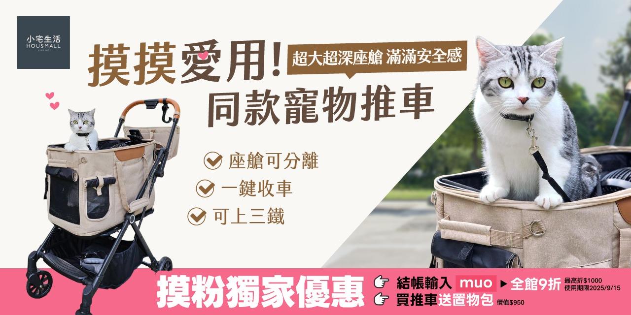 摸摸