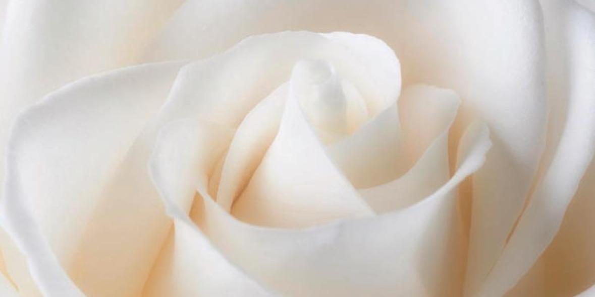 心靈願景落實教練 | 依淇 你內心有無限的強大力量
允許自己活出嶄新人生

立刻預約｜展開旅程
❤️