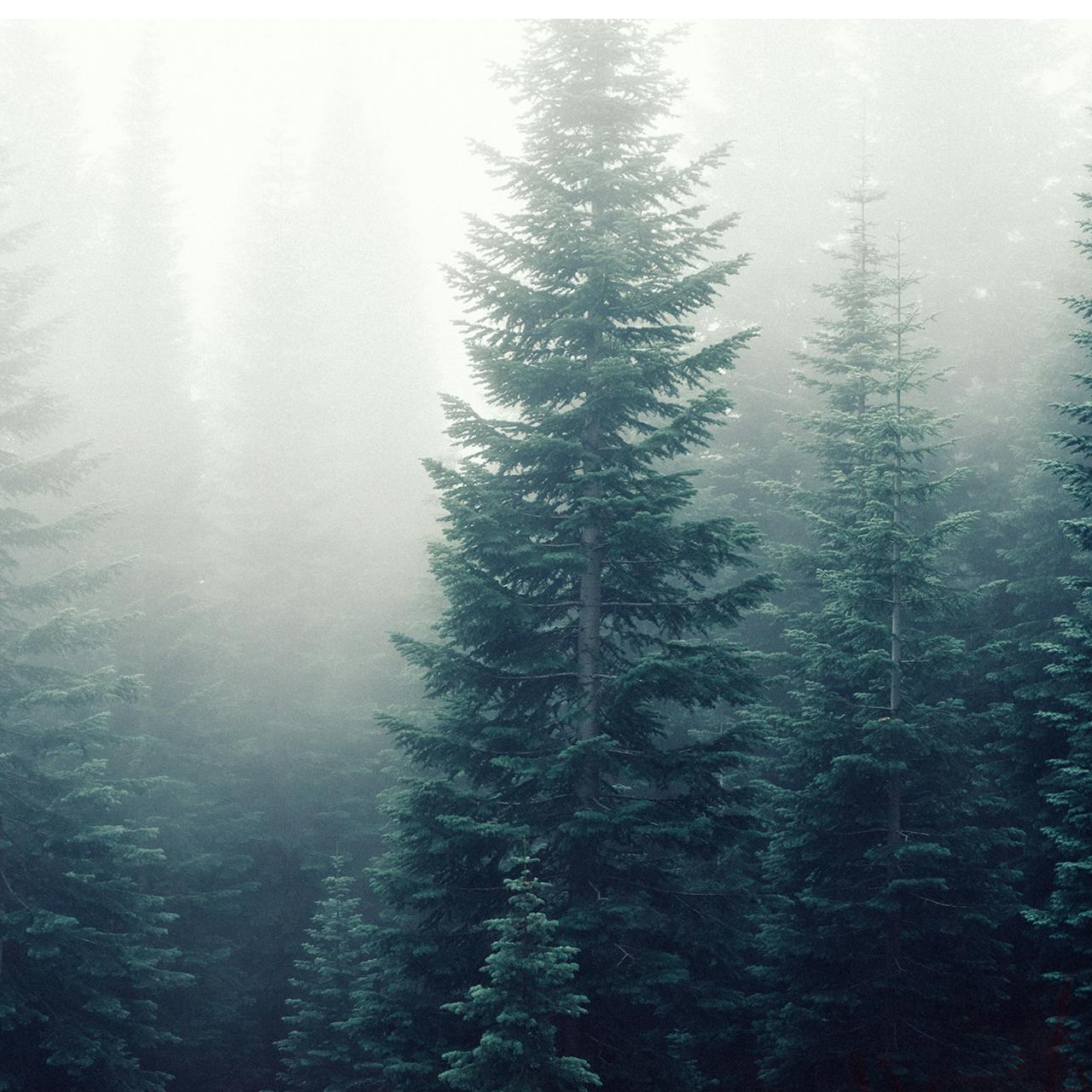 友璿環保科技有限公司 污染防制