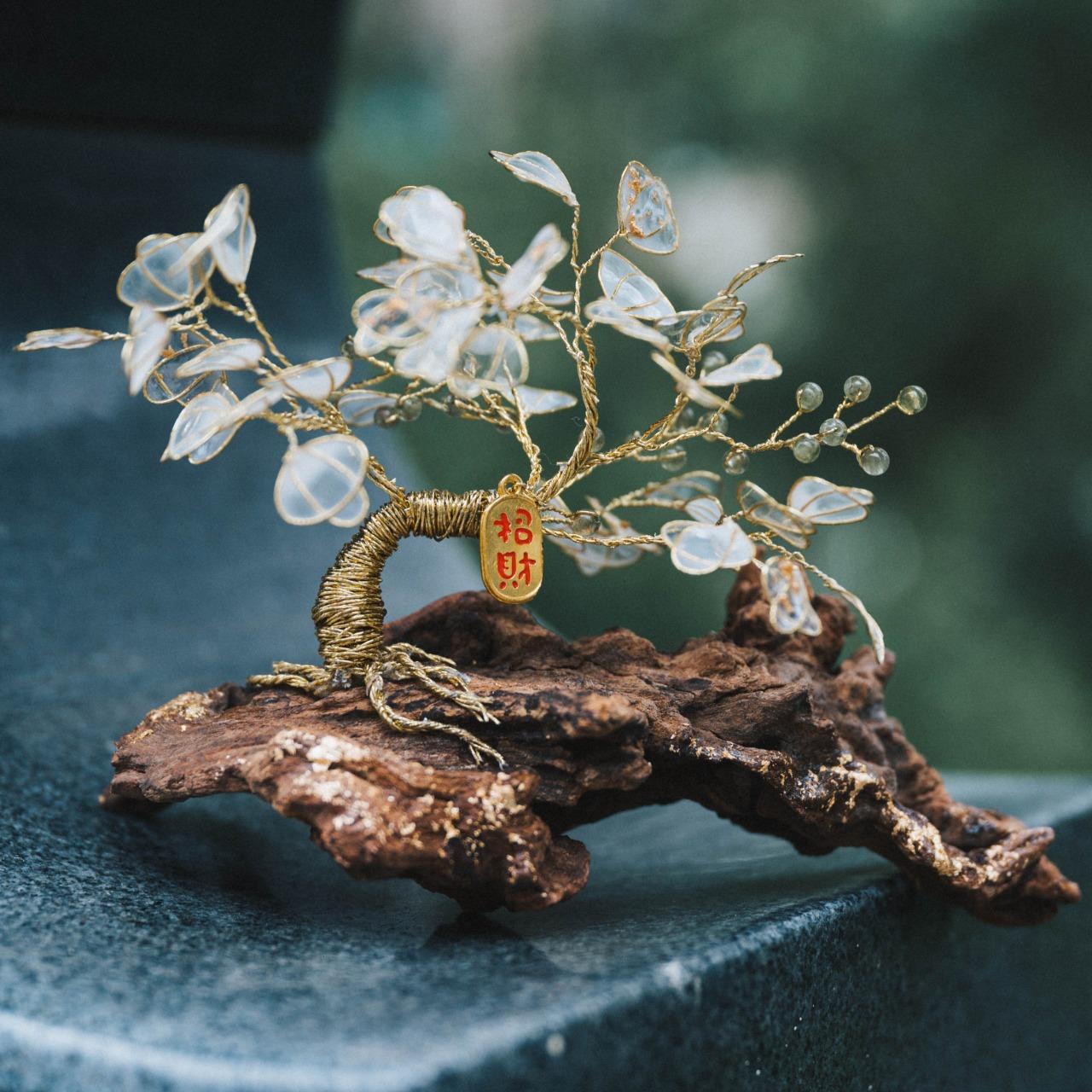 好運樹樹來課程-台中加開