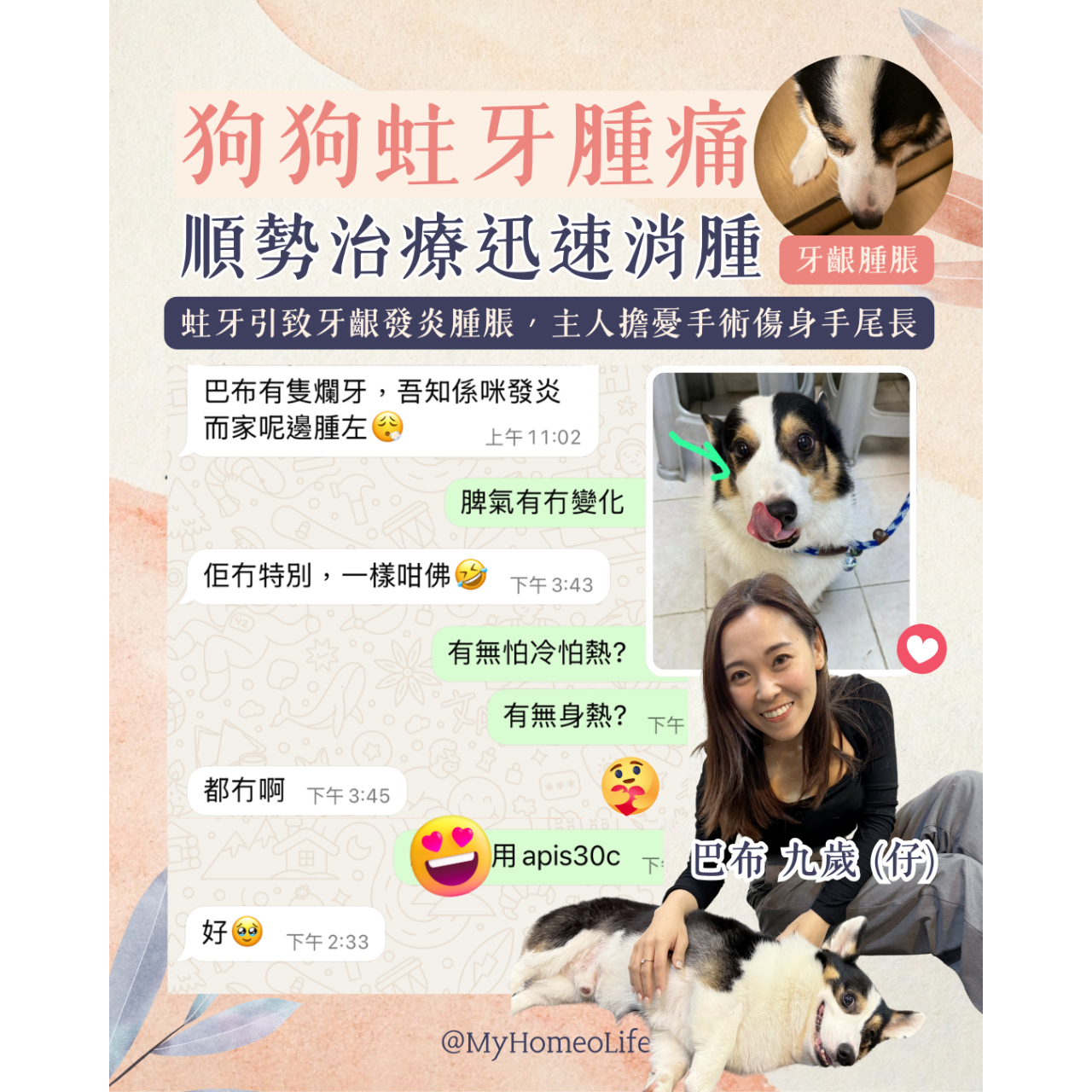 蛀牙 剝牙 哥基 寵物治療 順勢療法 自然療法