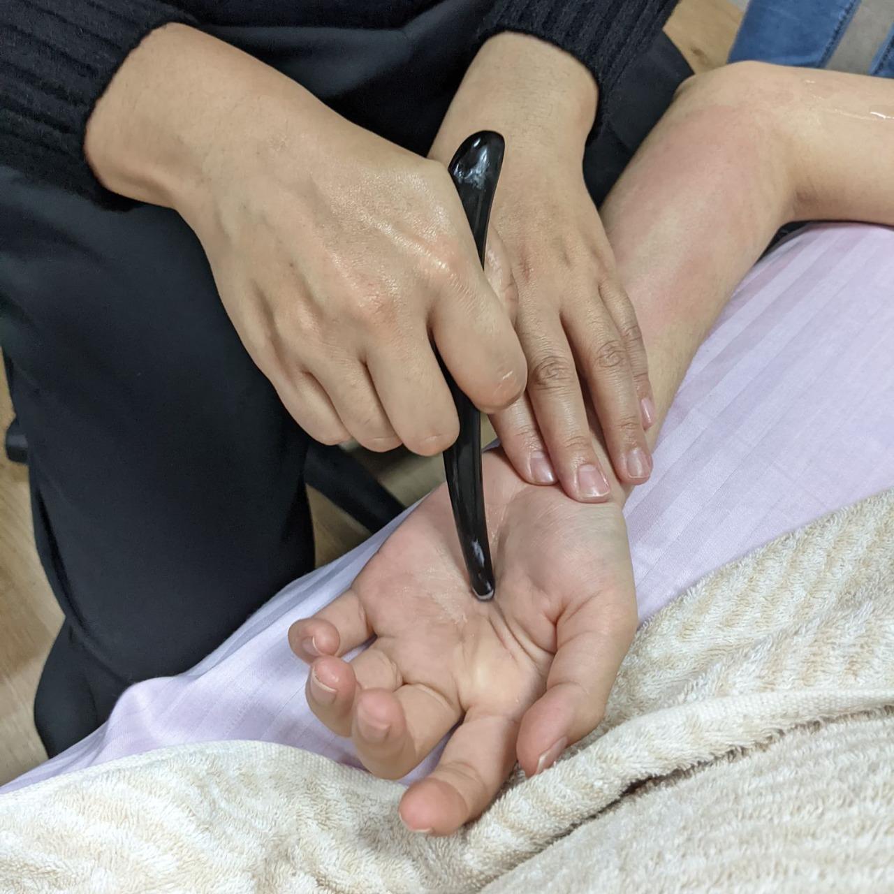 丰隅林 LinHaven 經絡教學