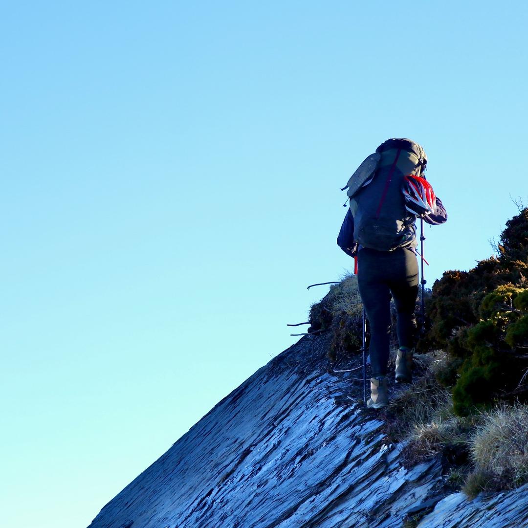 沙沙在山上 Mountain Sasa