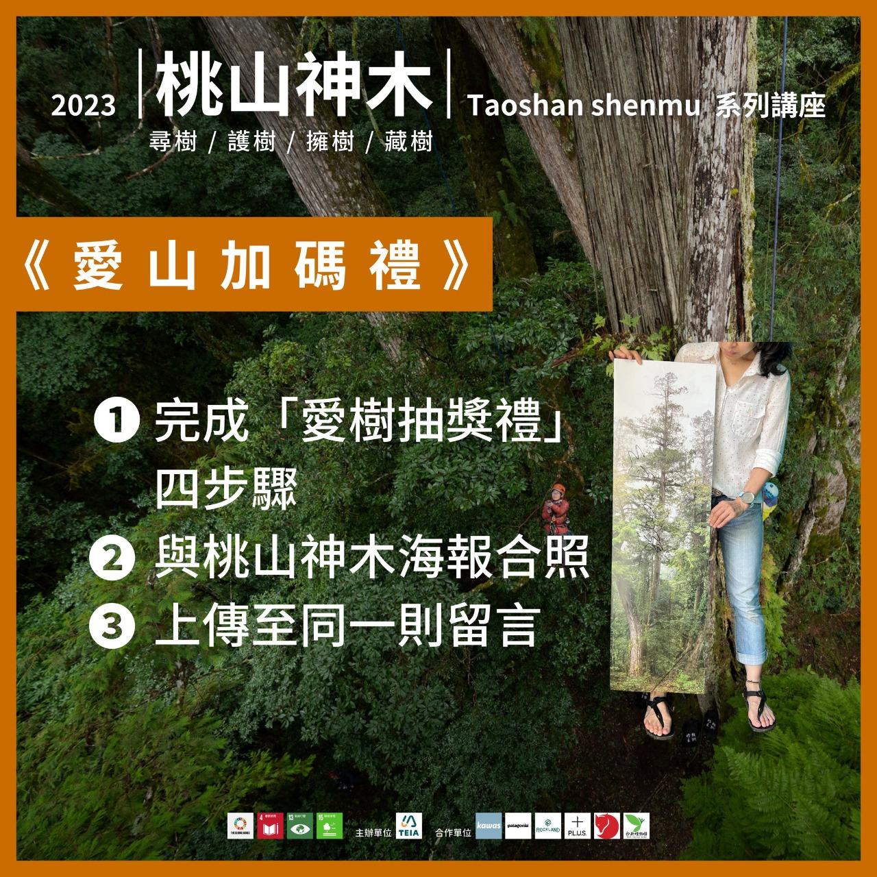 桃山神木｜撞到月亮的樹 點選參加抽獎