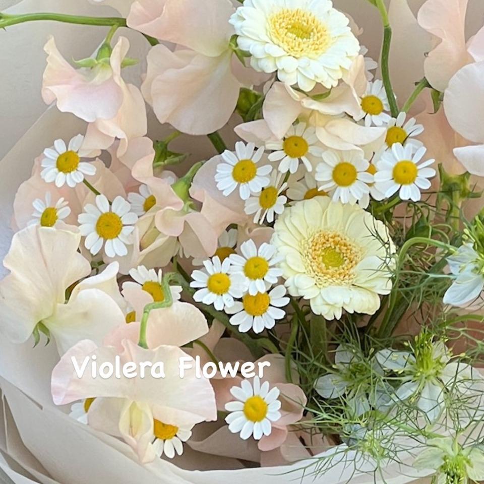 𝙑𝙄𝙊𝙇𝙀𝙍𝘼 𝙁𝙇𝙊𝙒𝙀𝙍