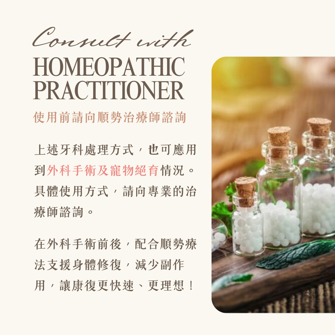 寵物絕育手術 順勢療法 治療師諮詢