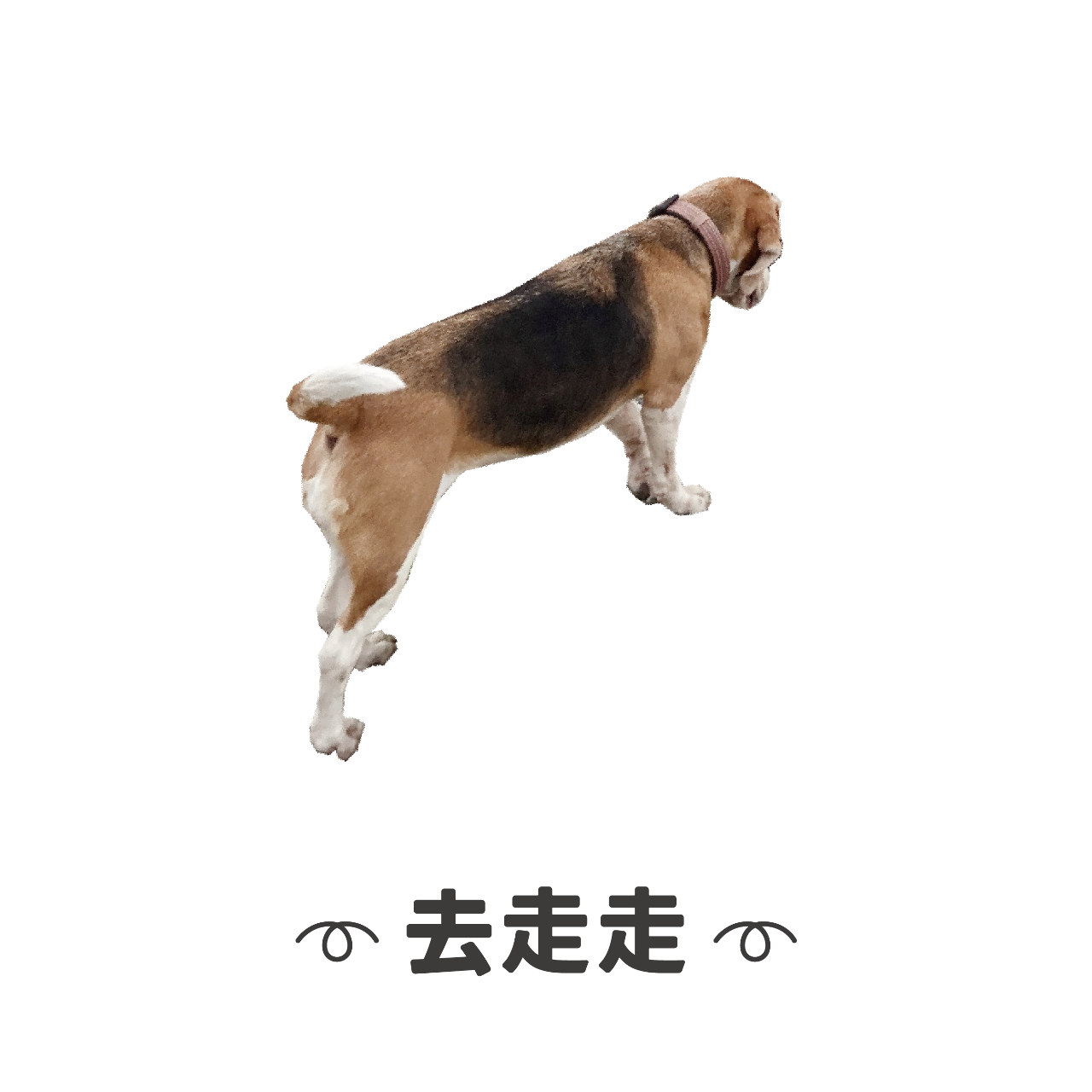 ➰ 和台中交朋友 ➰