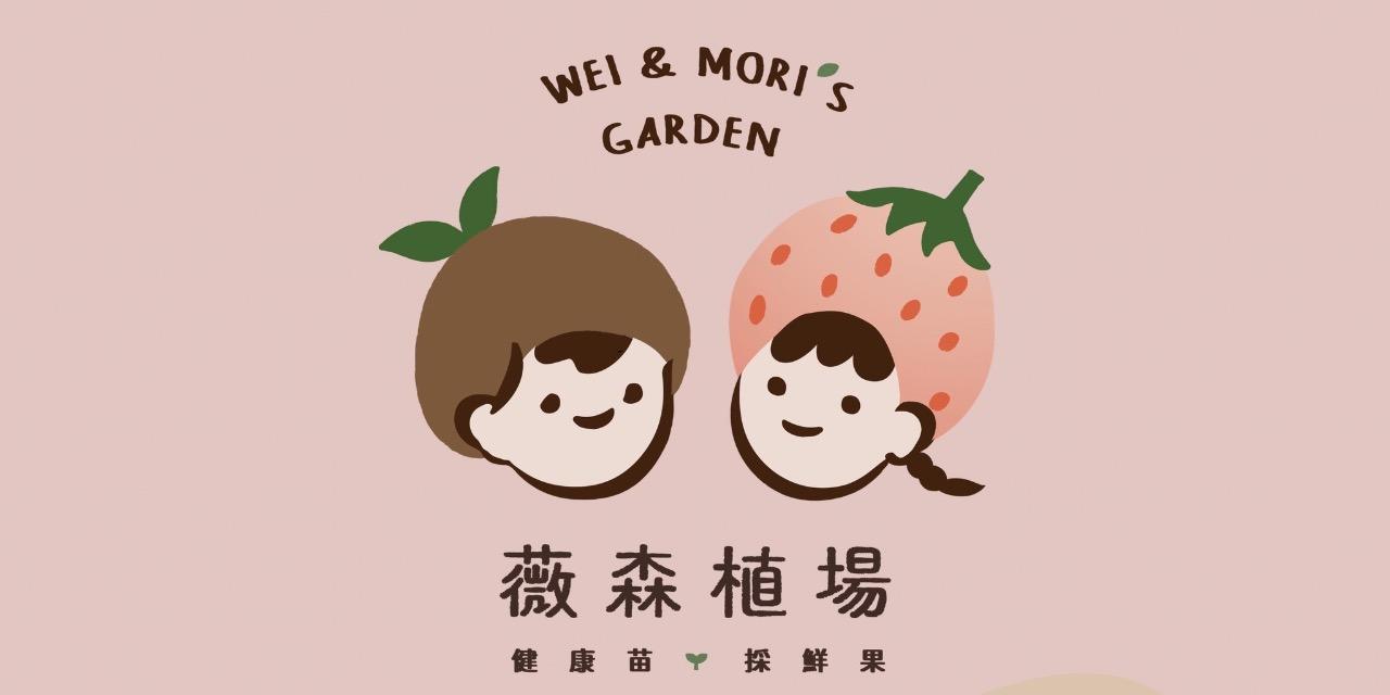 薇森植場 草莓園 草莓苗