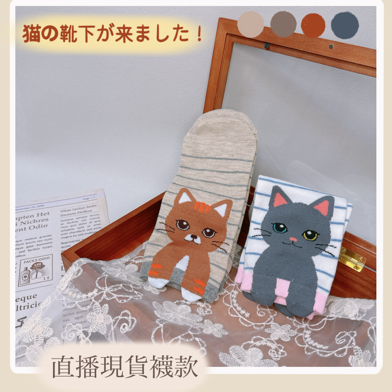 ☆ Zona’s Wonderland ★