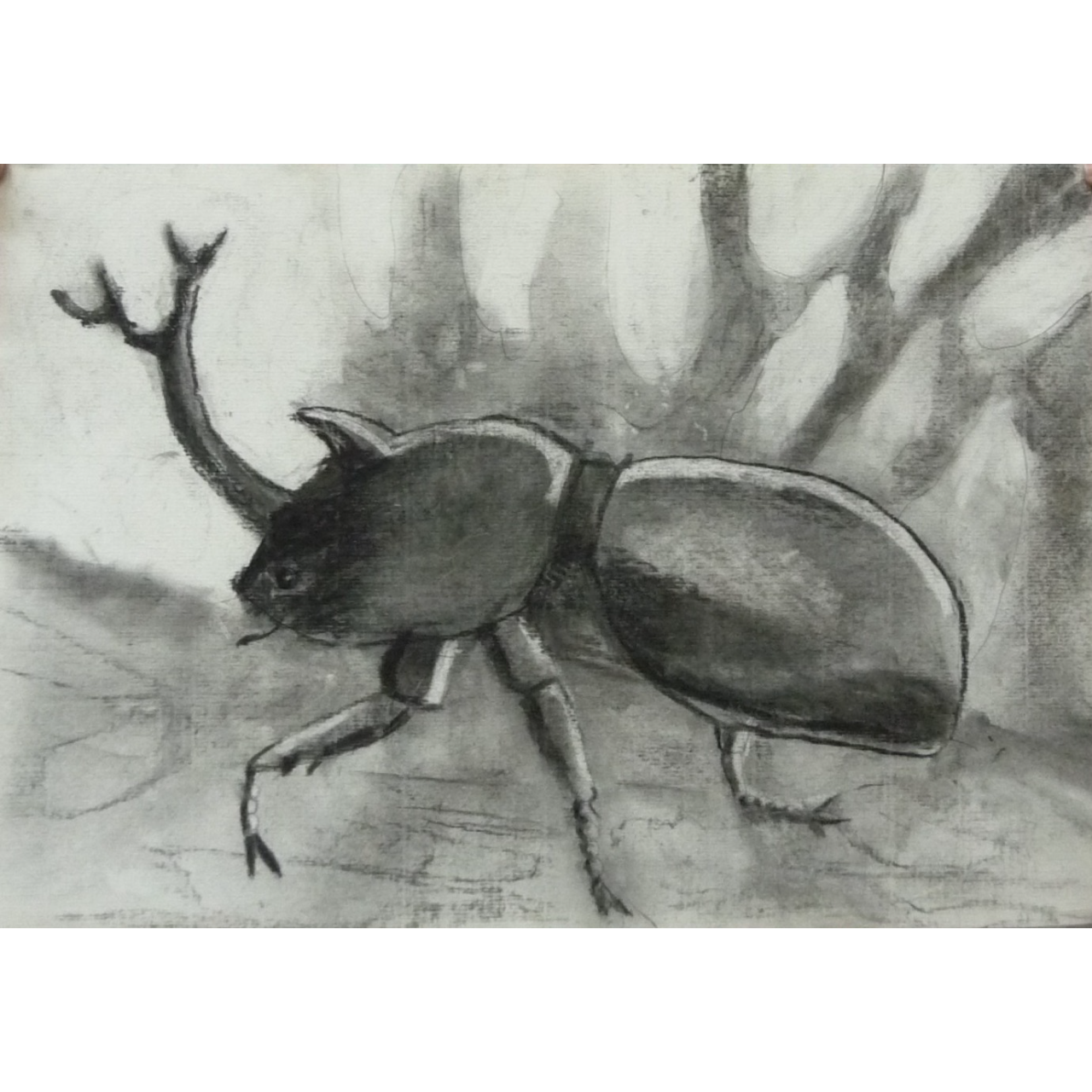 呂玲畫室兒童班中年級課程 Art For Kid