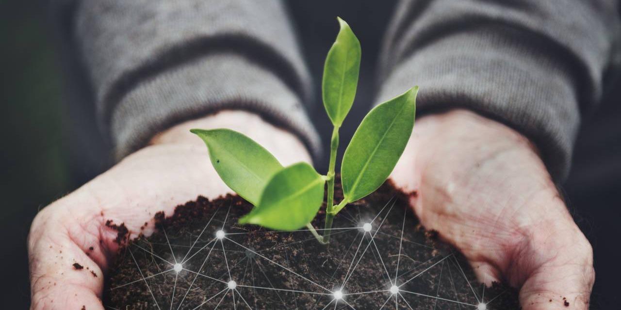 禾茂環境 創造ESG永續健康的環境