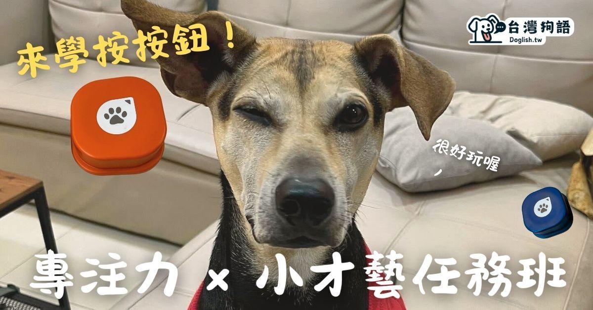 台灣狗語 Doglish.tw 台中團體班，四五月開課！