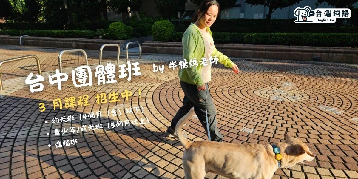 台灣狗語 Doglish.tw 台中團體班，一月開課！