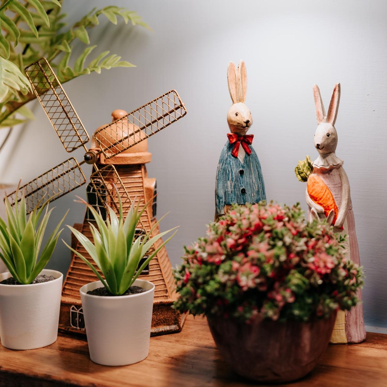 澎湖|蘿蔔民宿CarrotHostel