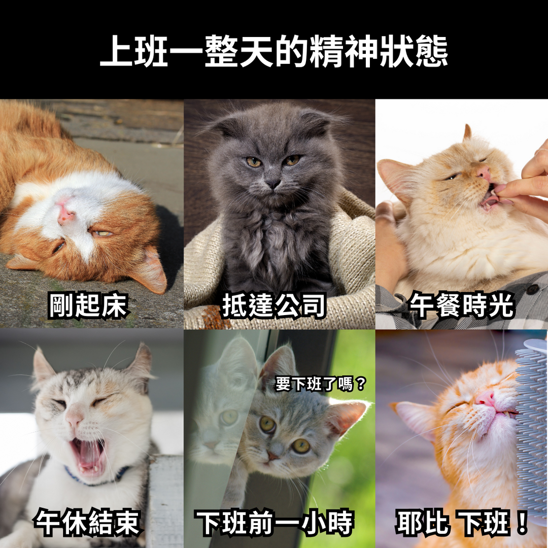 馬克汀（Marketing）