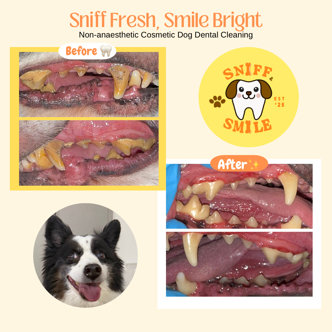 Sniff & Smile Age : 14
