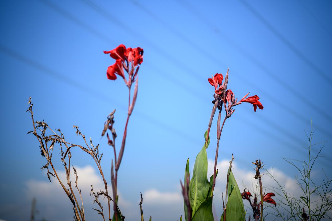 報導者 The Reporter 不向時間低頭──童年性侵倖存者揭開黑幕，挑戰追訴期高牆的漫漫長路 - 報導者 The Reporter