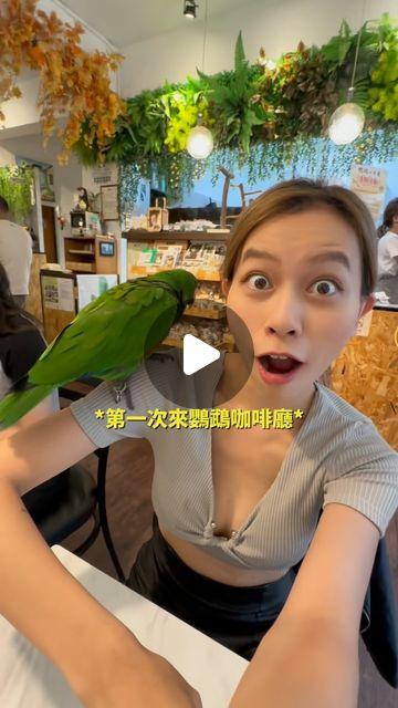 小魚 魚油吃法, 魚油