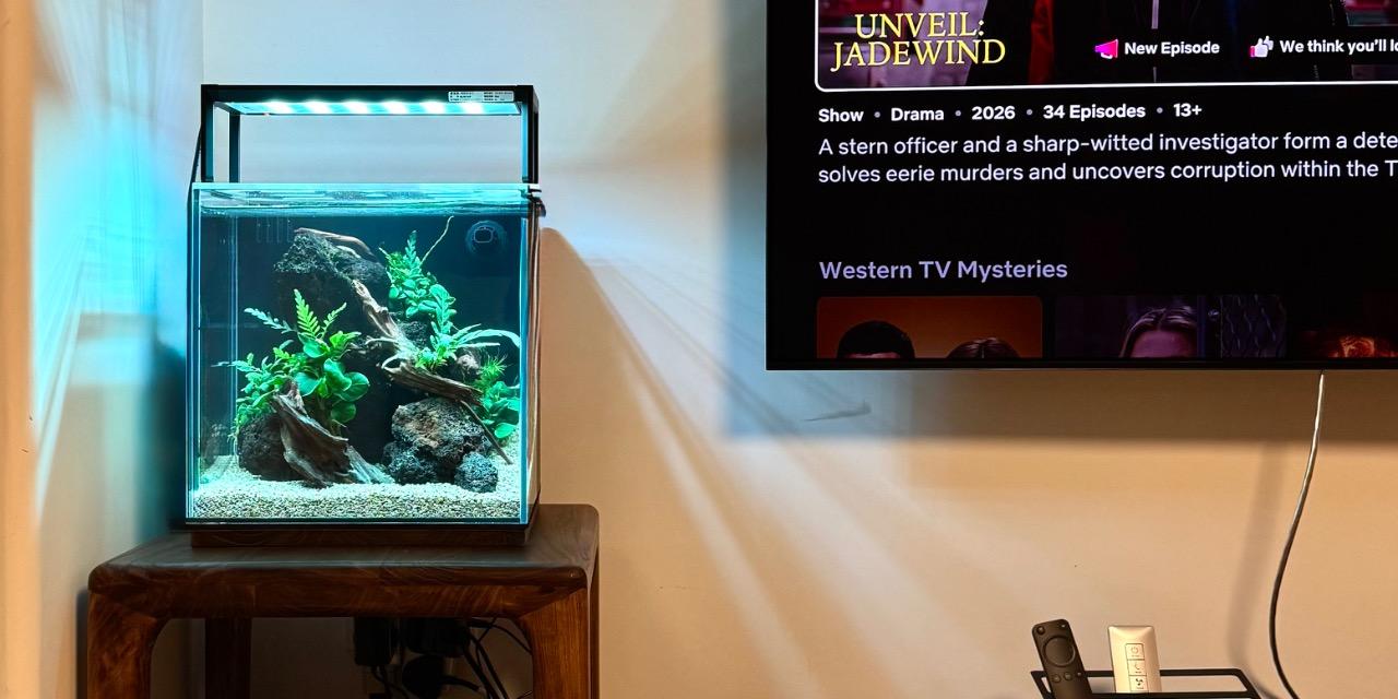 MeP Lab Water tank aquascape