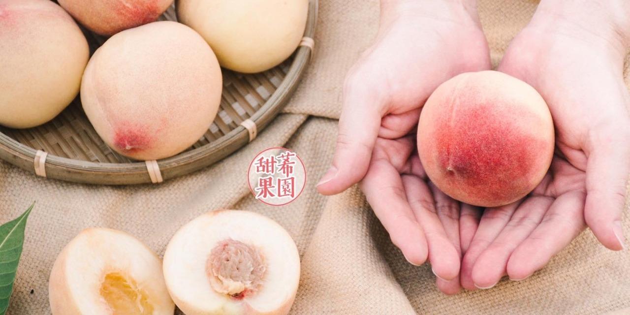 甜莃果園｜許漢忠 梨山水蜜桃🍑開放預購