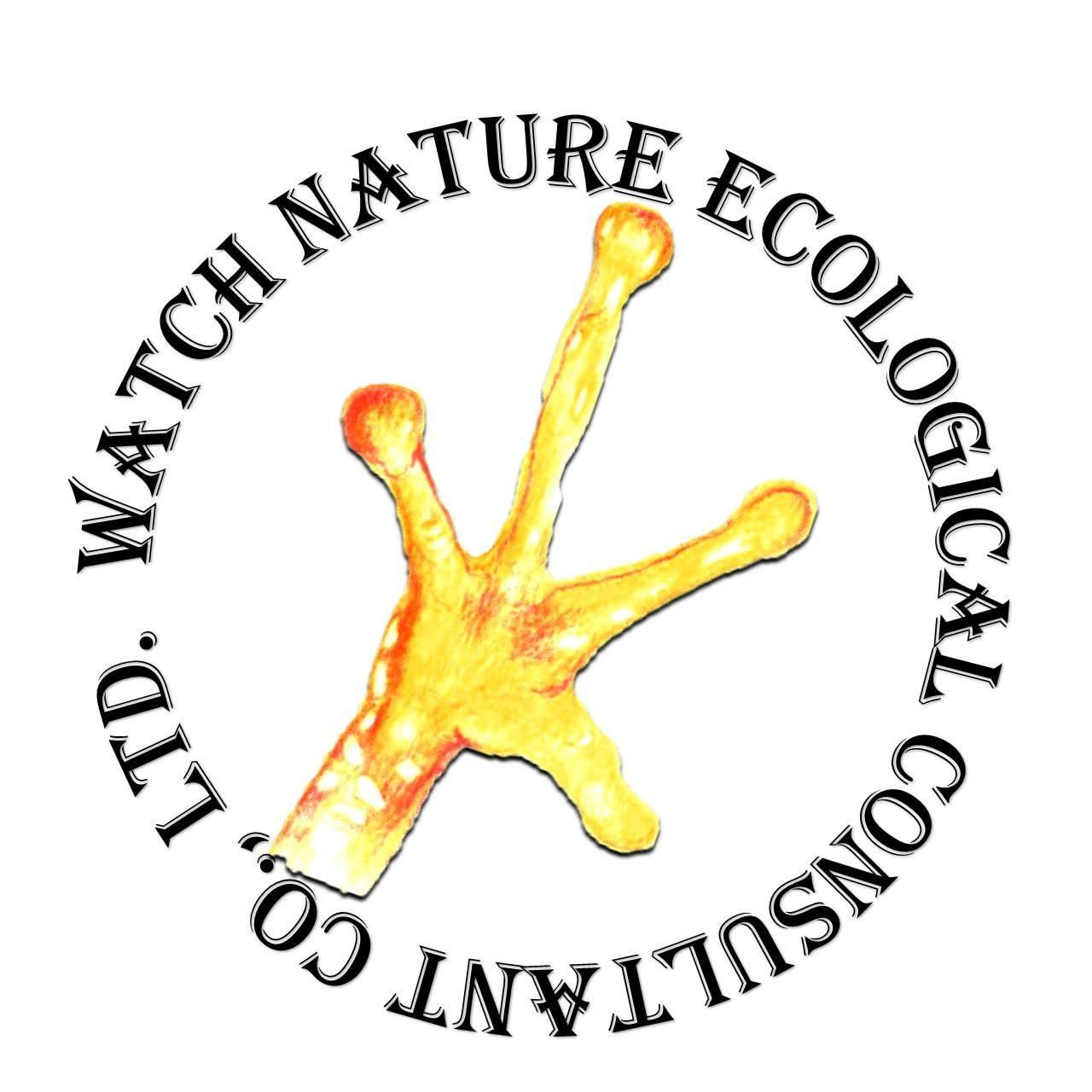 諸羅樹蛙合作社 蛙趣