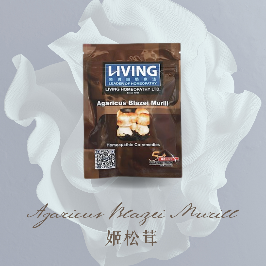 姬松茸 巴西蘑菇 抗癌