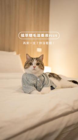 沒錯！就是送妳「再來一支」