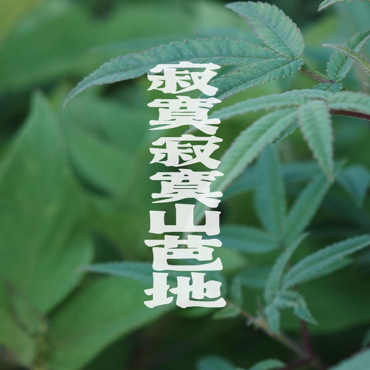 老屋敲敲門 寂寞寂寞山芭地