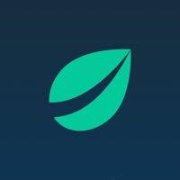 Bitfinex｜穩定放貸｜老牌交易所