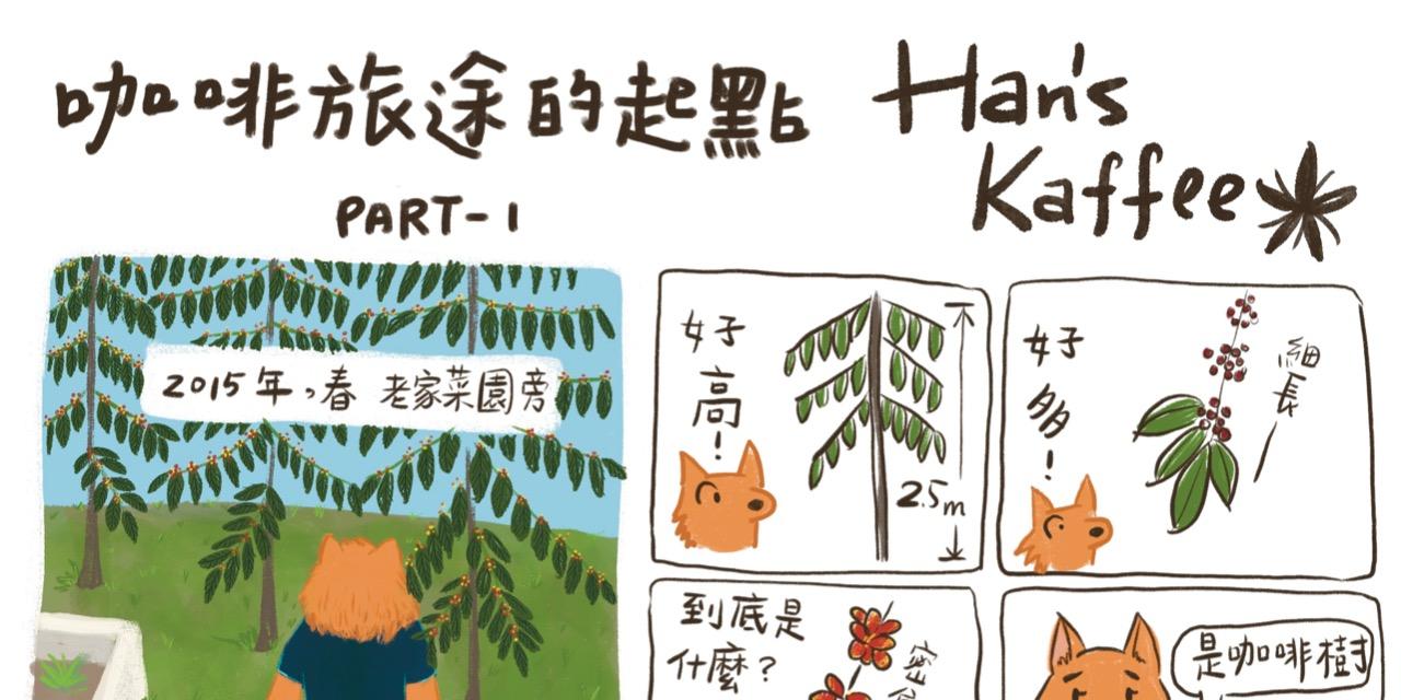 內哎蘑菇
