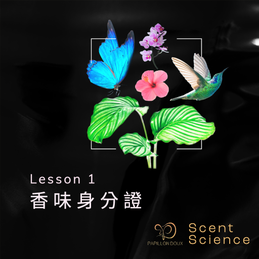 papillondoux香氣科學提供香水專業知識CAS Registry Number