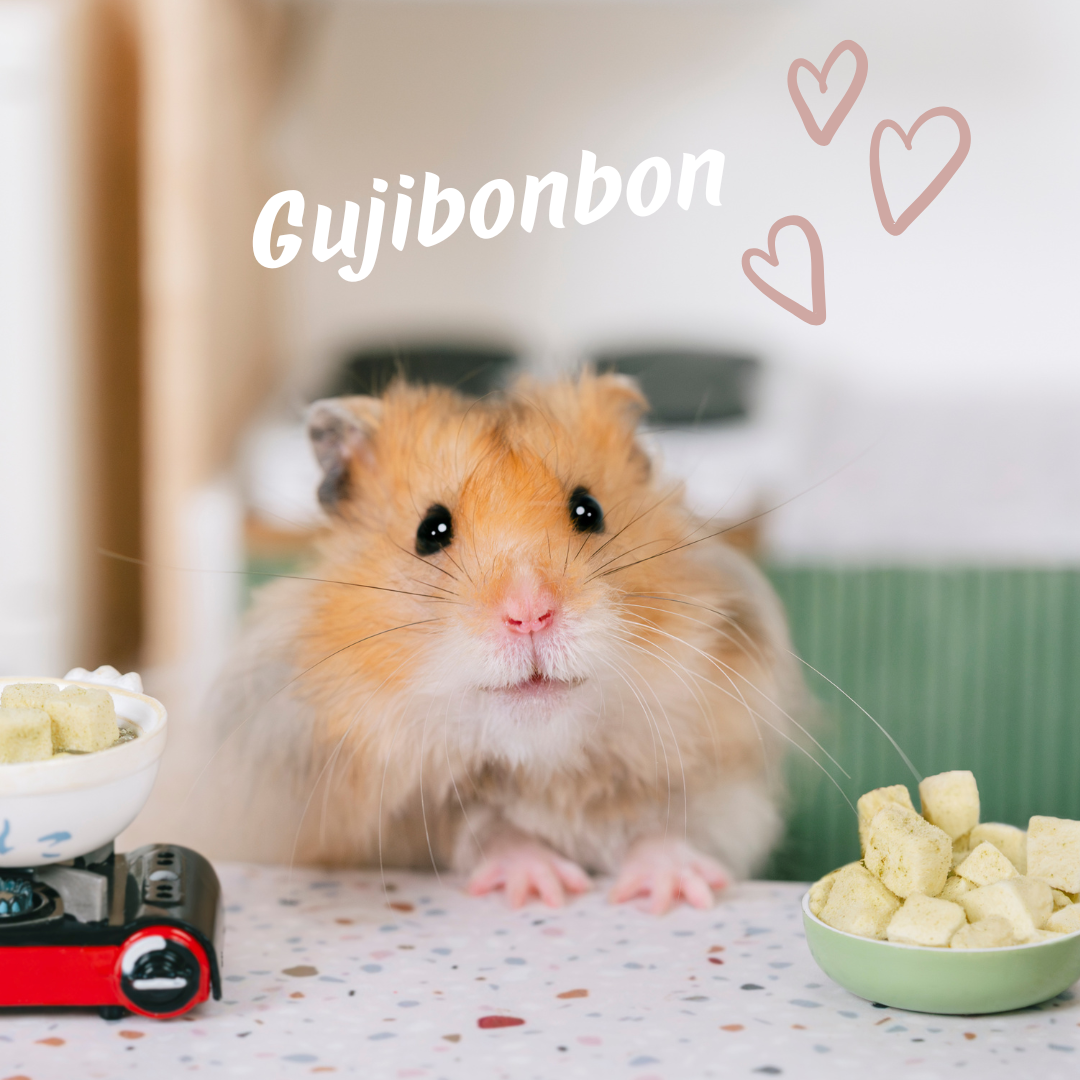 合作洽詢 咕嘰蹦蹦Line官方