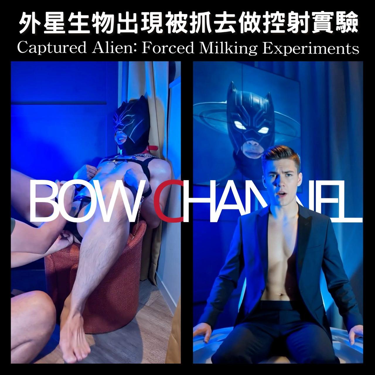 豹Bow