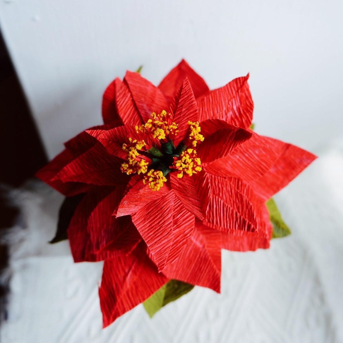 聖誕紅、紙花藝術、藝術紙花、紙花花藝、聖誕節體驗課、體驗課