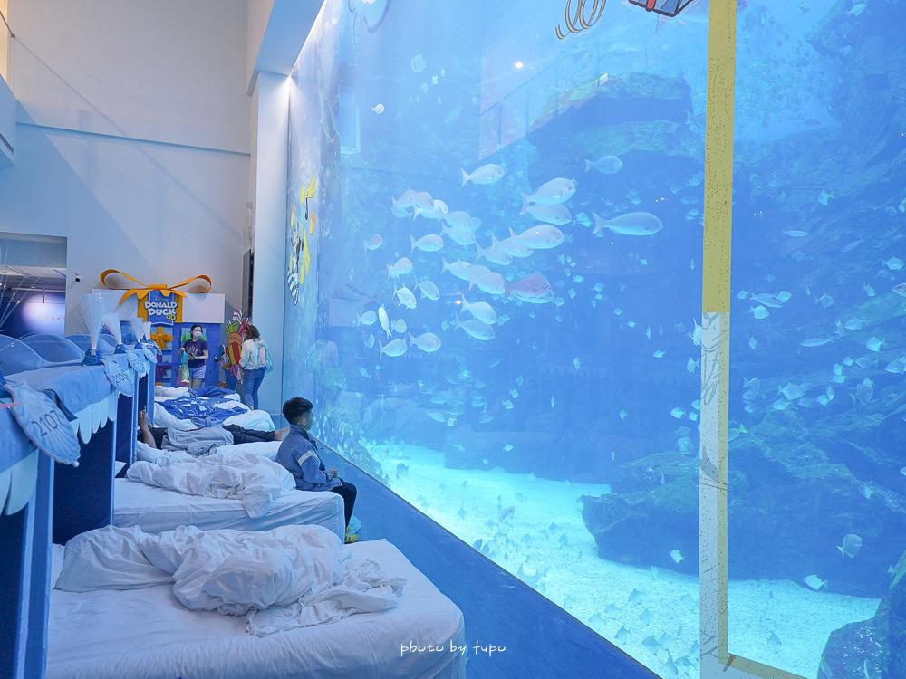 小腹婆大世界 全台最頂水族館住宿！超狂一泊三食專案吃好吃滿、魚魚陪你睡