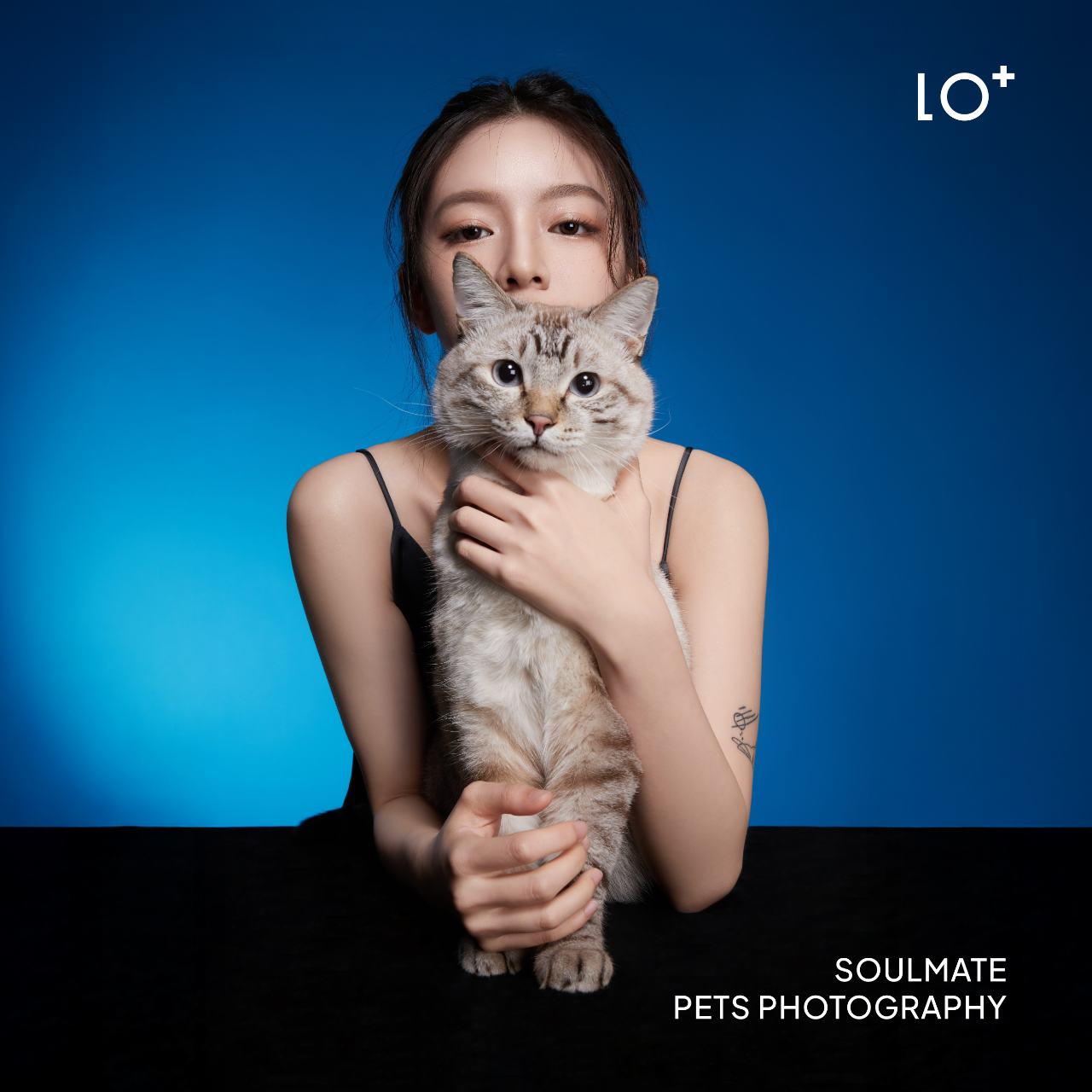 HOLO+FACE 人寵寫真