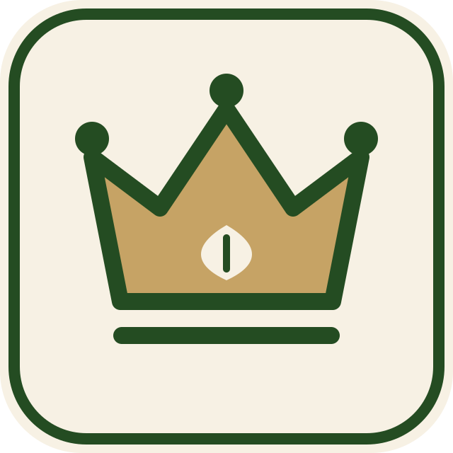 👑 VIP 會員內容