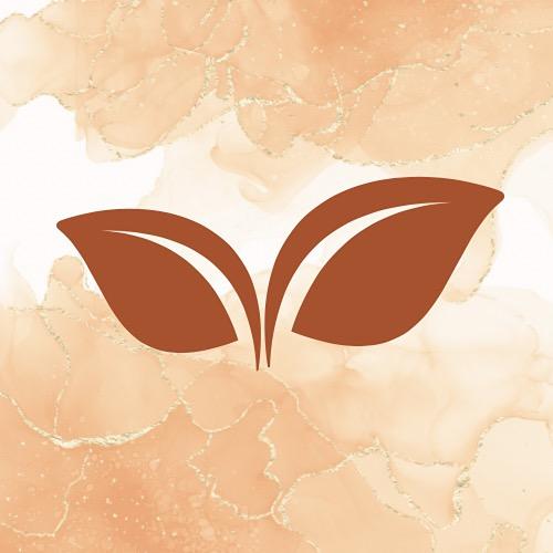 橘子靈性orange