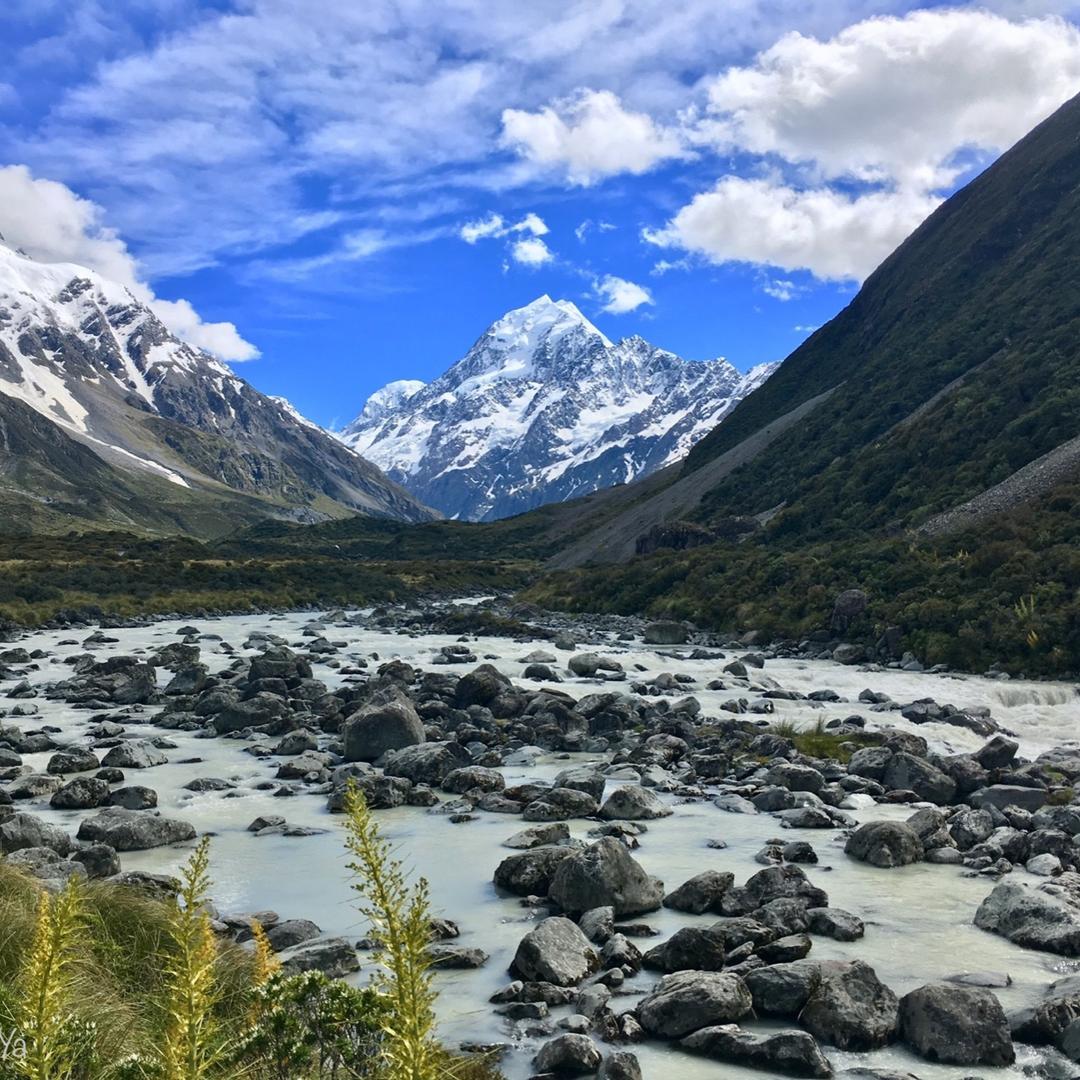 TingYa 婷雅 NZ 紐西蘭