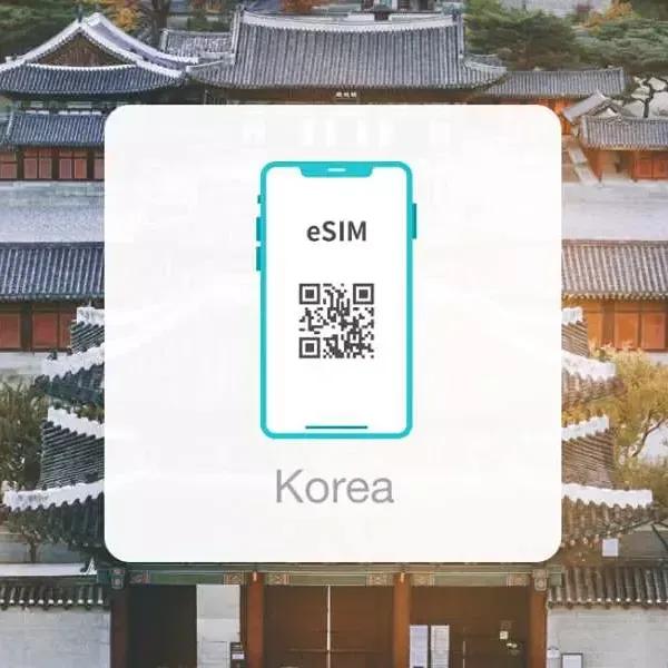 防彈迷因｜Riversaint 飆股群阿米力推的穩定eSIM