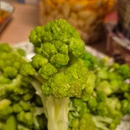 台中好宅社團計畫 廚藝分享社 ｜ 東區台中公園一期