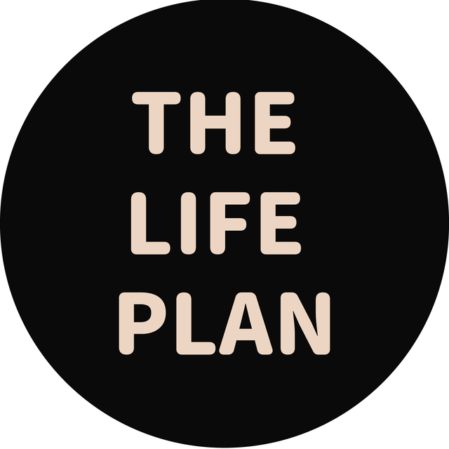 美好人生計畫 the life plan