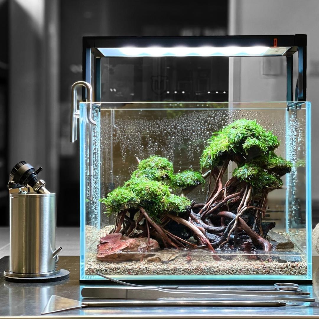 MeP Lab