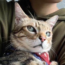 鄔莉畫話 Uliseanala talk to Animal. 長子小天使