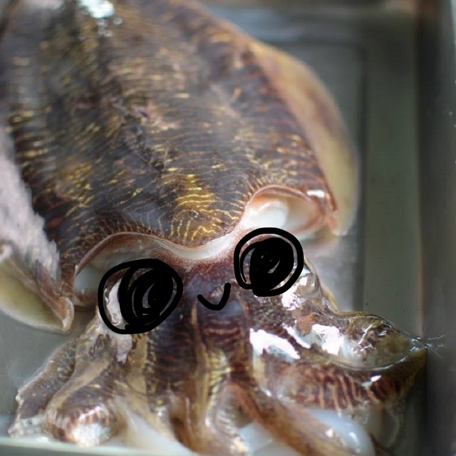 瑩螢夜燁 / Yingyingyeye