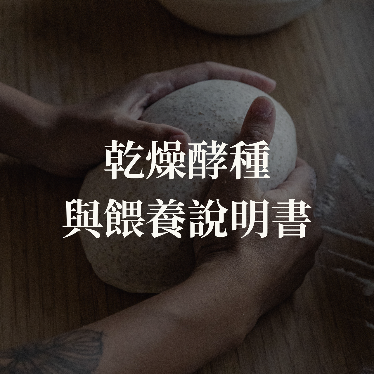 麥海酸種麵包工作室