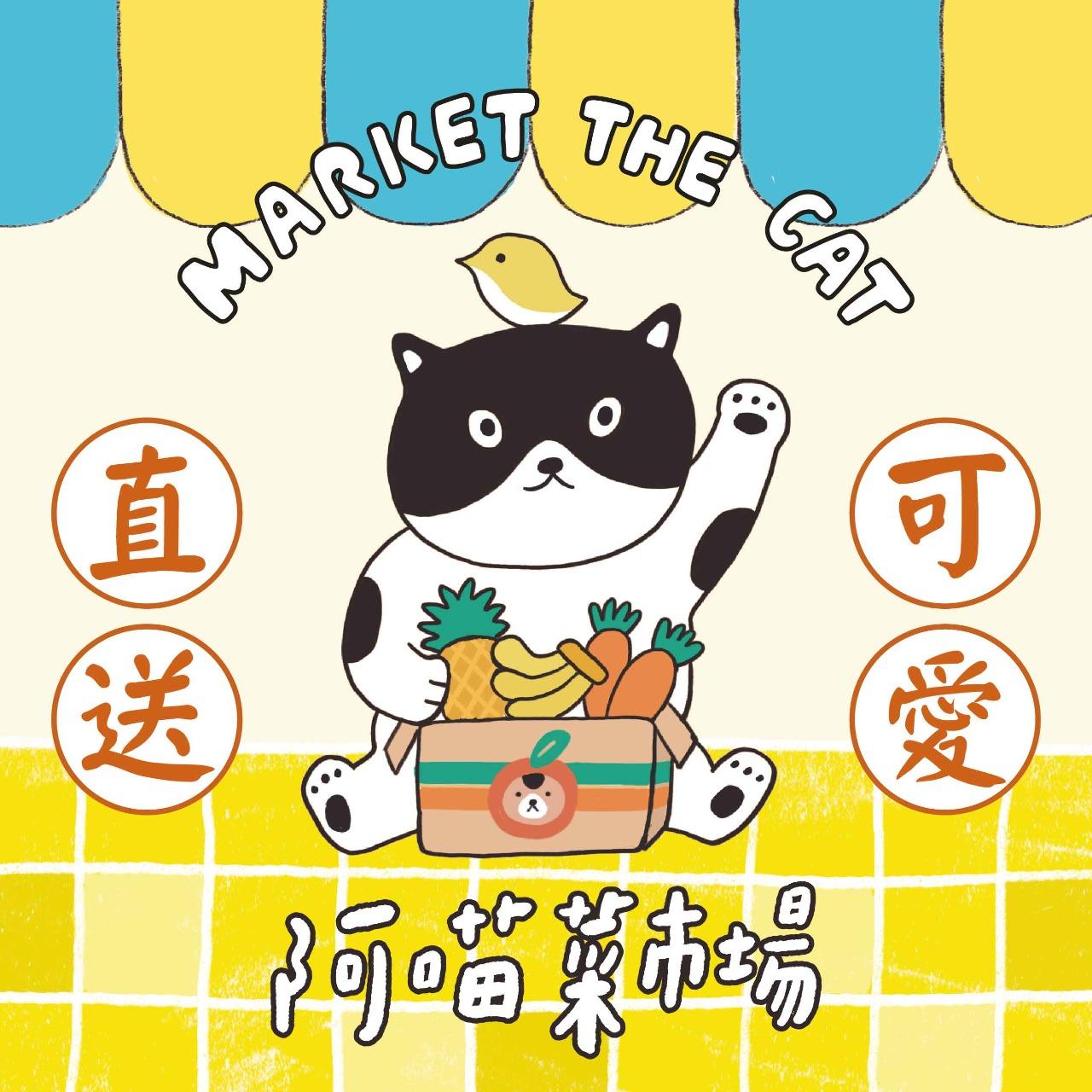 黑潮星樂園-幻奇星劇院